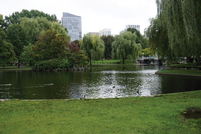 public-garden1