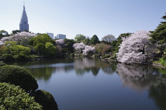 YasufumiNishi©JNTO