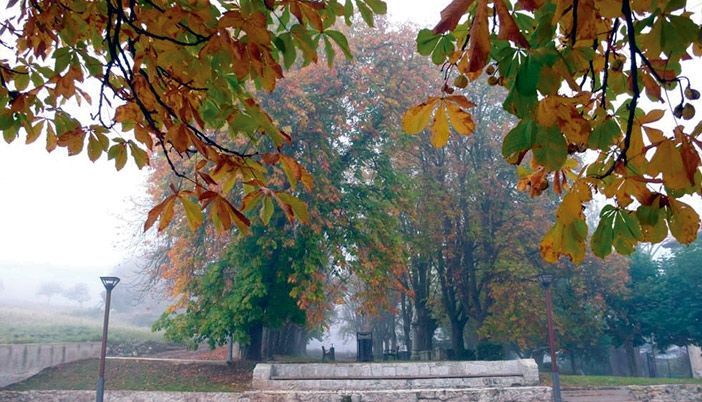 Jardin-otono