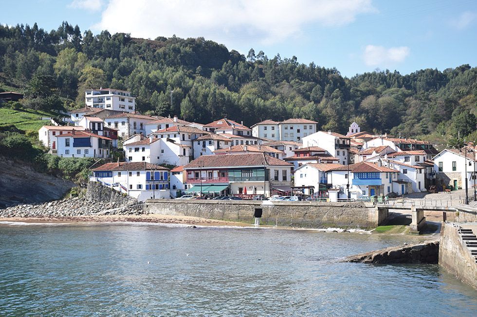 Tazones-1