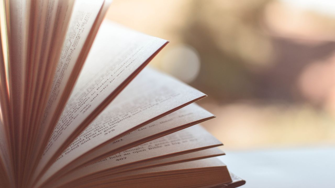 Noche de los Libros