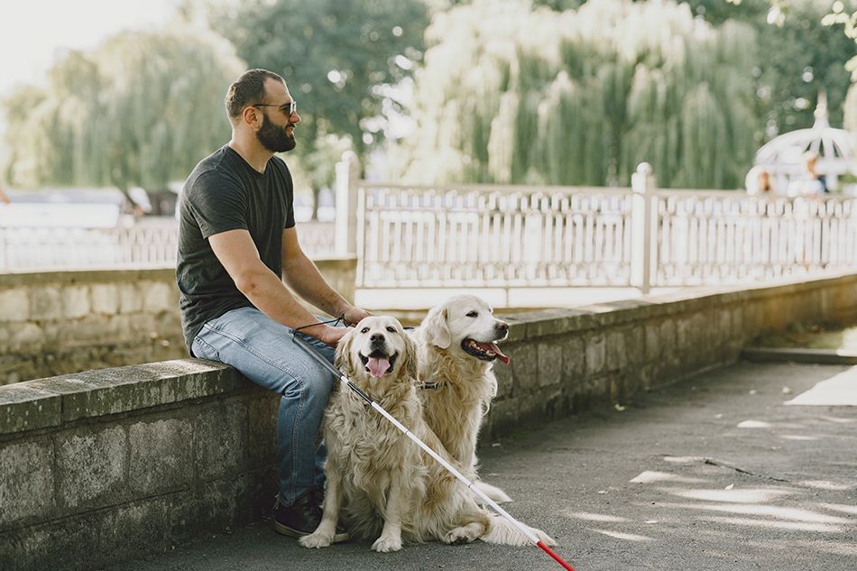 Golden retriever persona ciega – Pexels