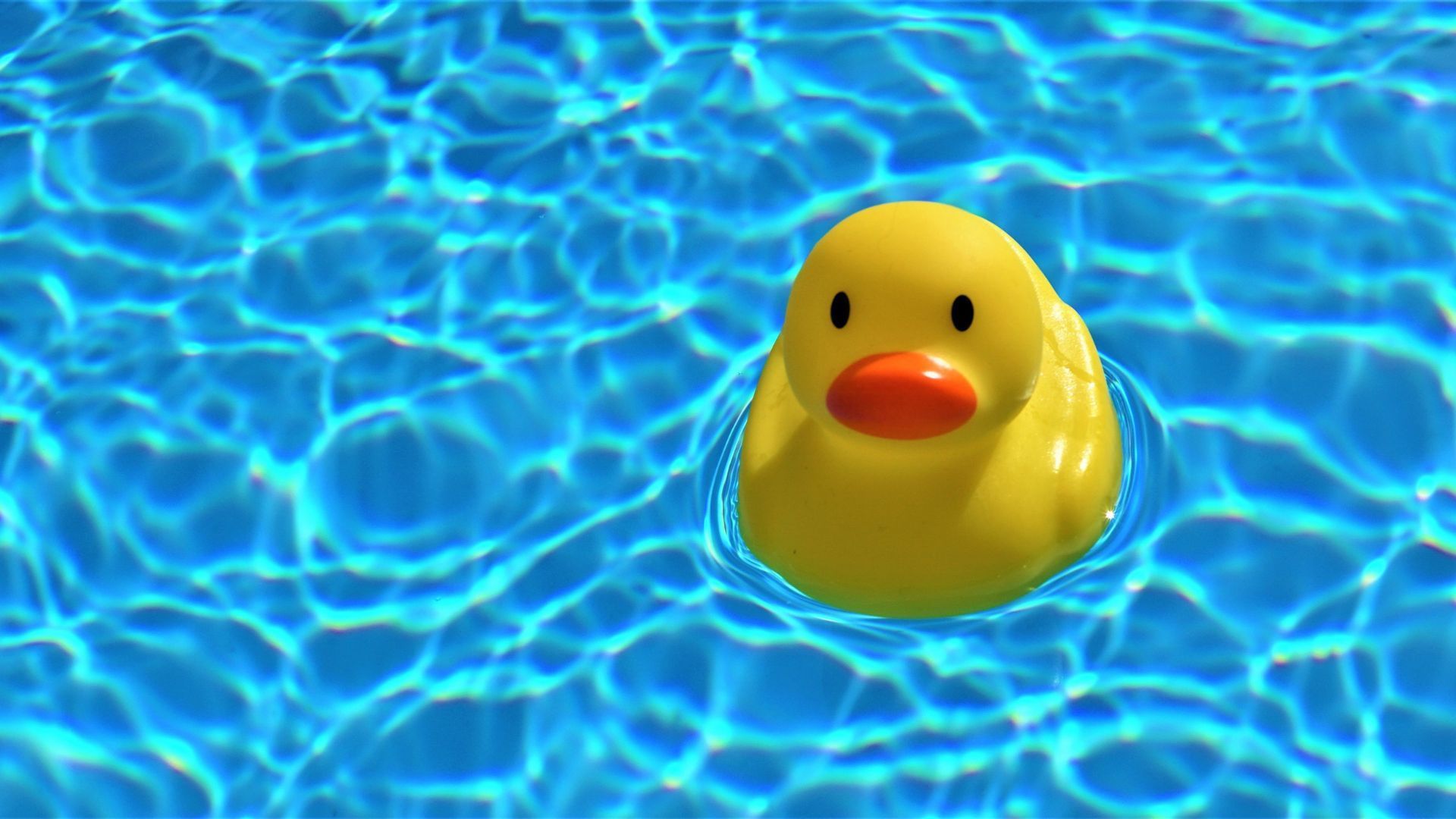 Piscina con un patito