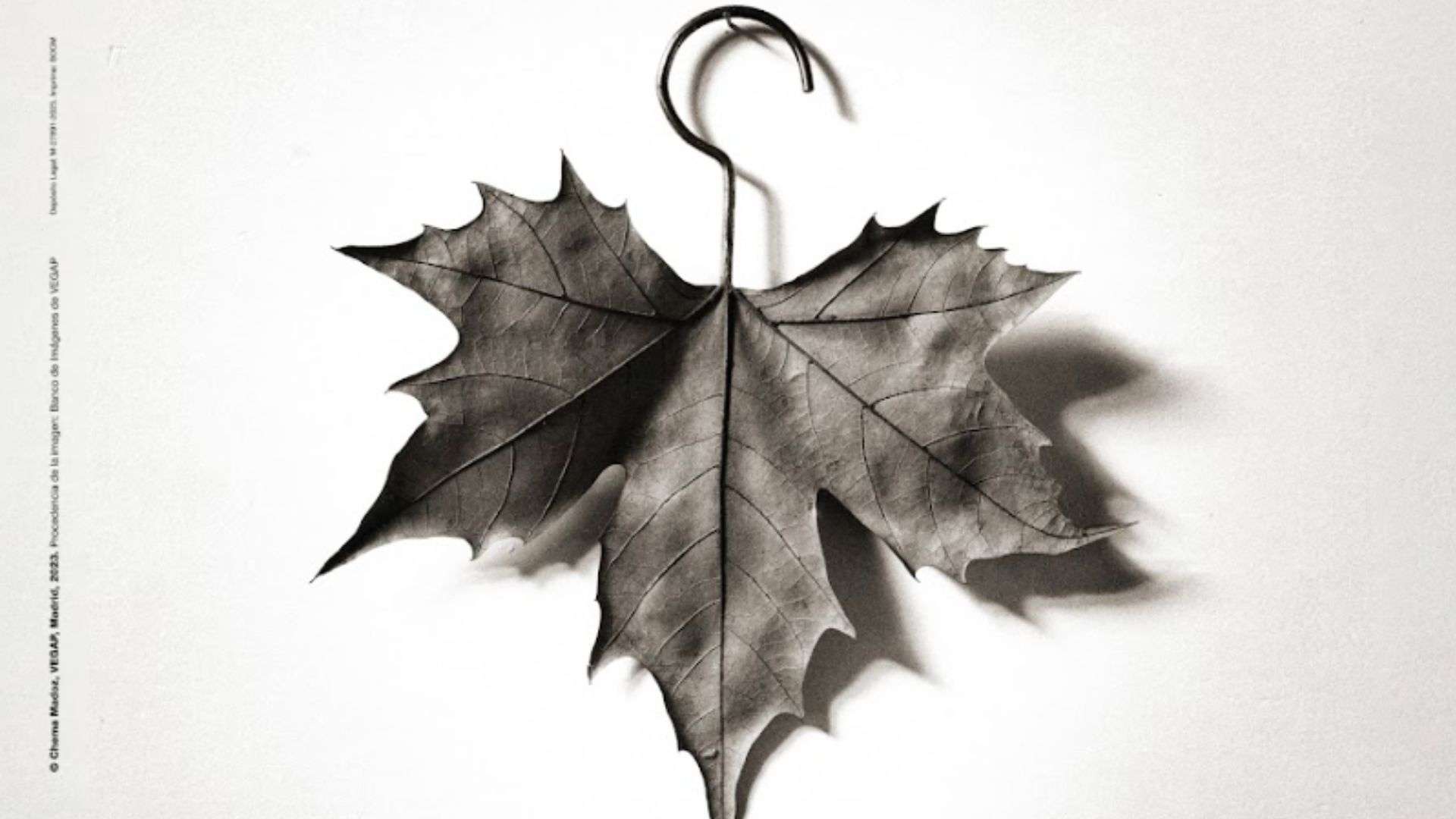 Festival de Otoño