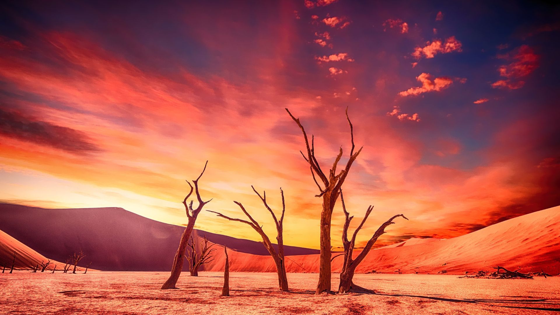 Desierto, cambio climático