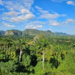 paisajeviñales2