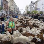 Imagen-de-archivo-Fiesta-de-la-Trashumancia-en-la-calle-de-Alcala-1500×1000